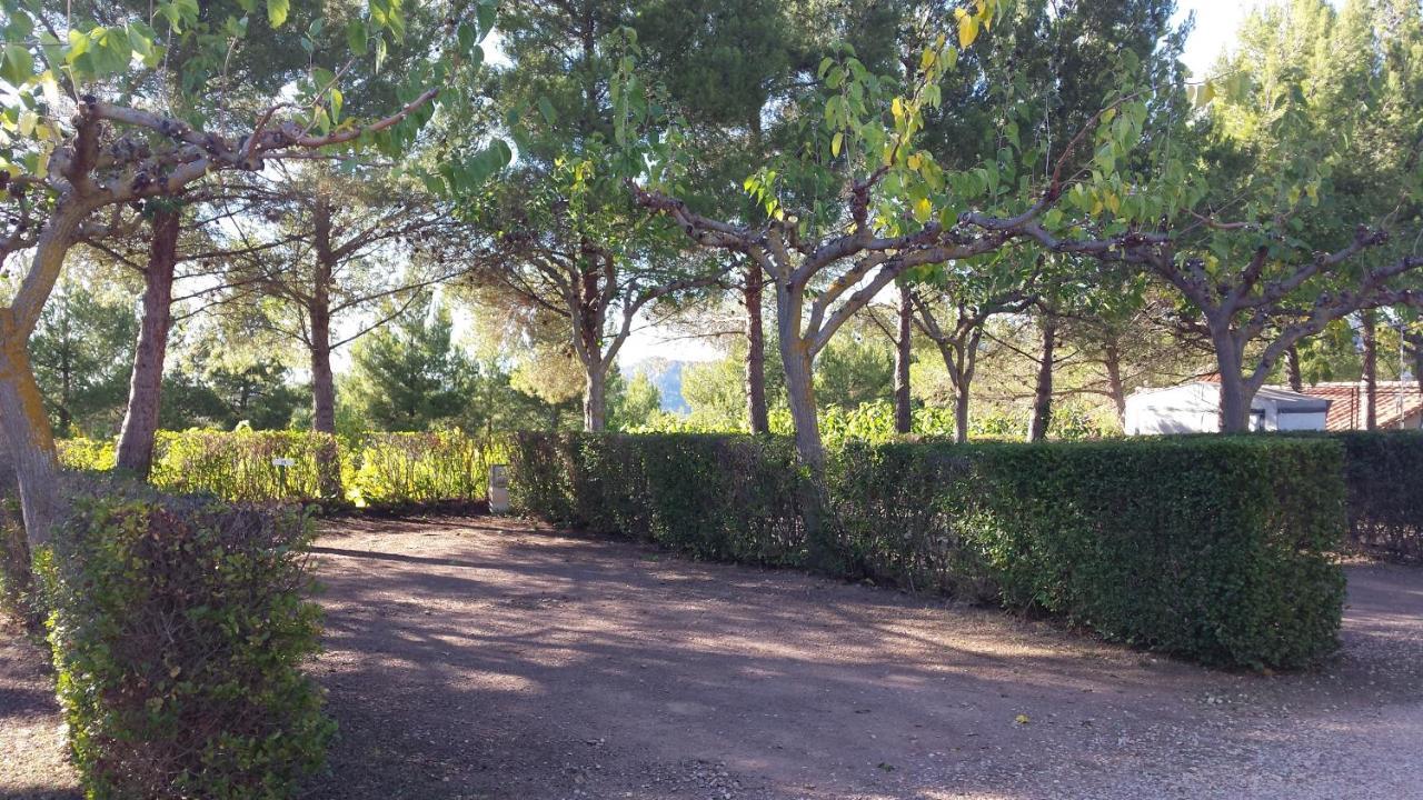 Montsant Park Camping & Bungalow Ulldemolins المظهر الخارجي الصورة
