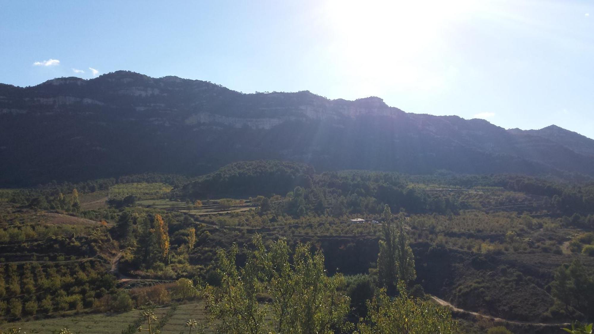 Montsant Park Camping & Bungalow Ulldemolins المظهر الخارجي الصورة