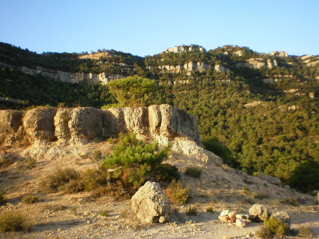 Montsant Park Camping & Bungalow Ulldemolins المظهر الخارجي الصورة